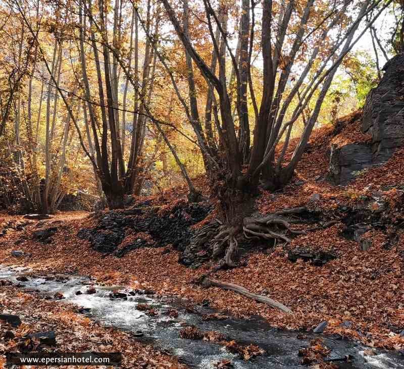 روستای کلاته آهن در پاییز